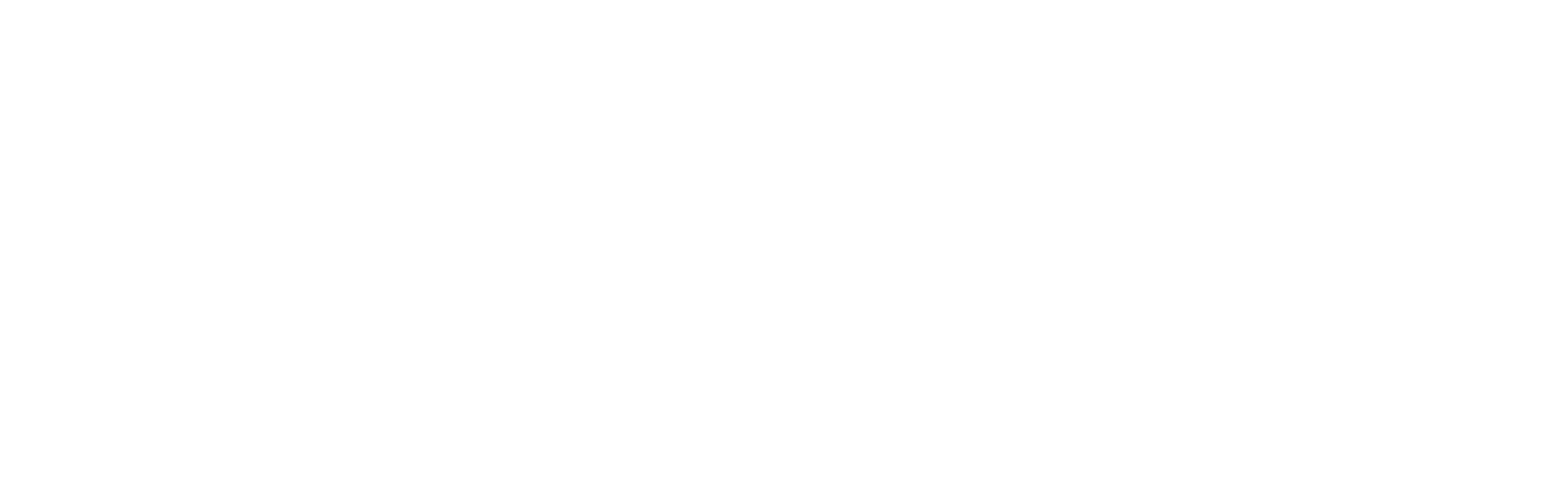 Nacka kommun logo vit